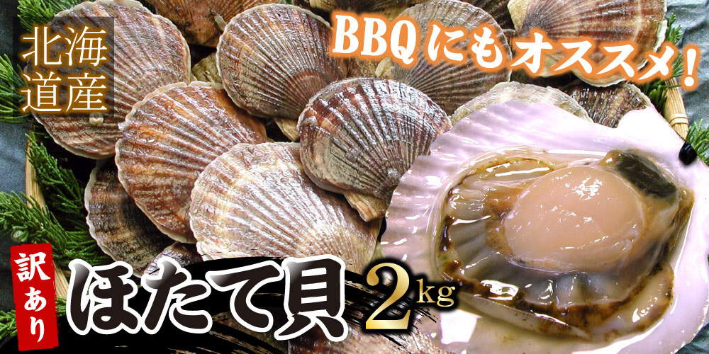 北海道産殻付き帆立貝